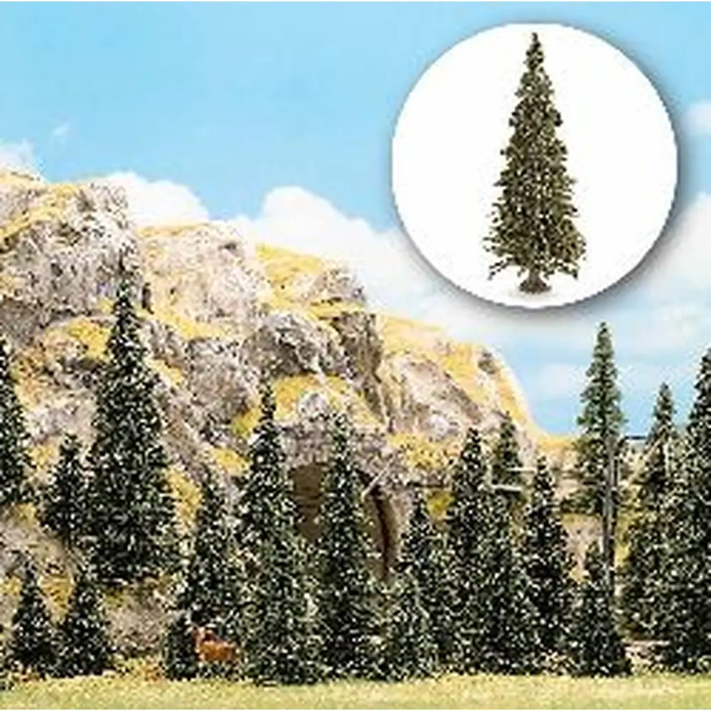 10 Pins avec racines - 2