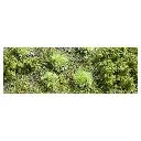 Kit de 35 Touffes d'herbe d'été Busch 3558 - HO 1/87 - 5