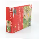 Un père et son fils pilotant un avion radiocommandé - BUSCH 5487 - HO 1/87 - 3