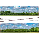 Fond de décor : Forêt sous un ciel bleu - Bois modélisme 901010  - 2