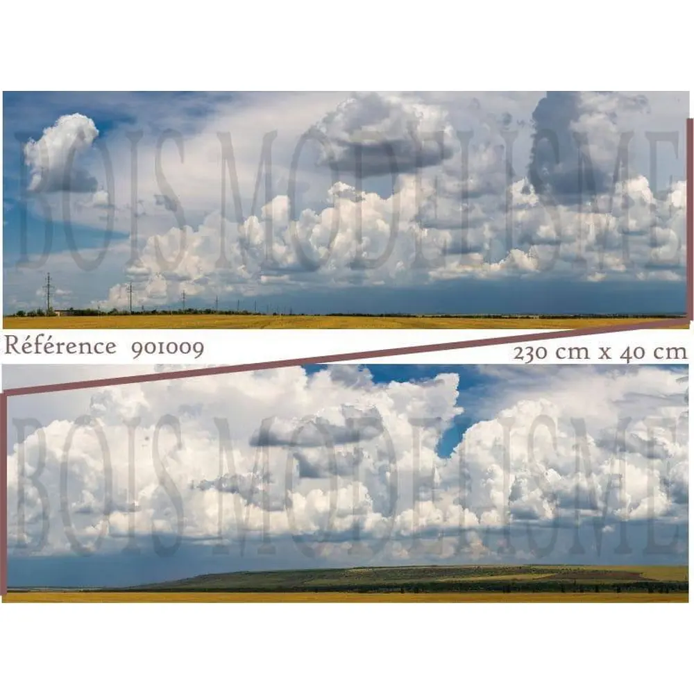 Fond de décor : Champs colorés et ciel chargé - 2