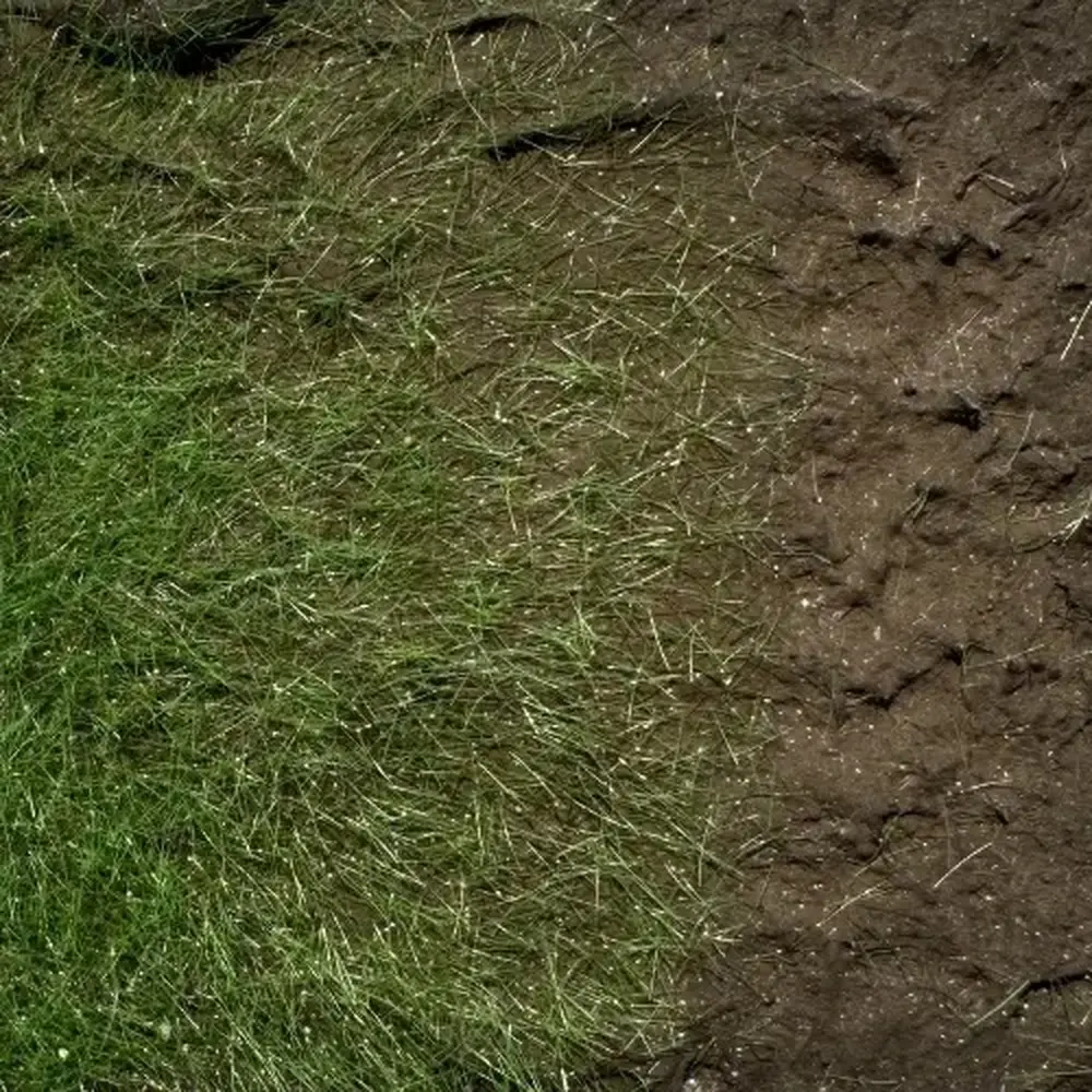 Terre à décor LINEA LEONARDO - Colle21 - "Legno Affumicato" - 3