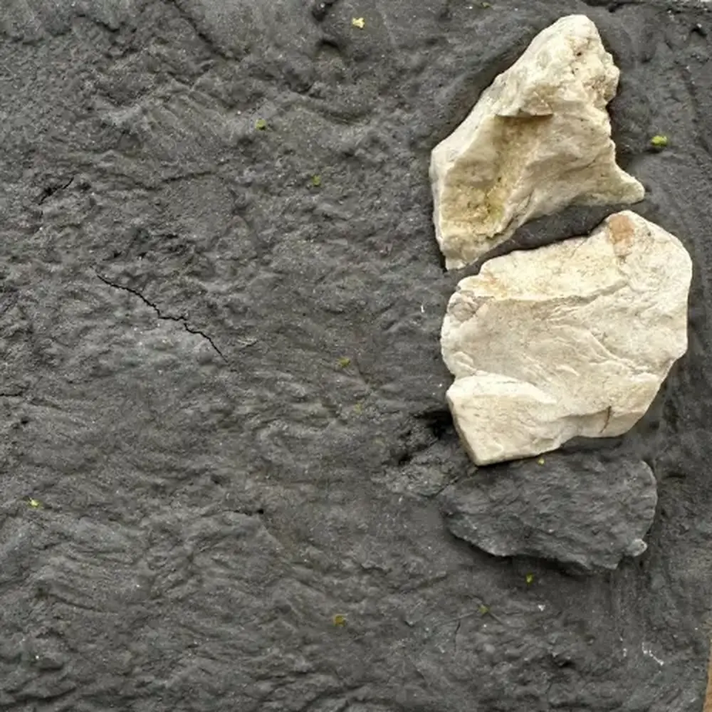 Terre à décor LINEA LEONARDO - Colle21 - "Cenere Di Legno" - 3