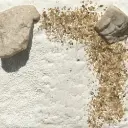 Terre à décor LINEA LEONARDO - Colle21 - "Frammento Di Conchiglia" - 3