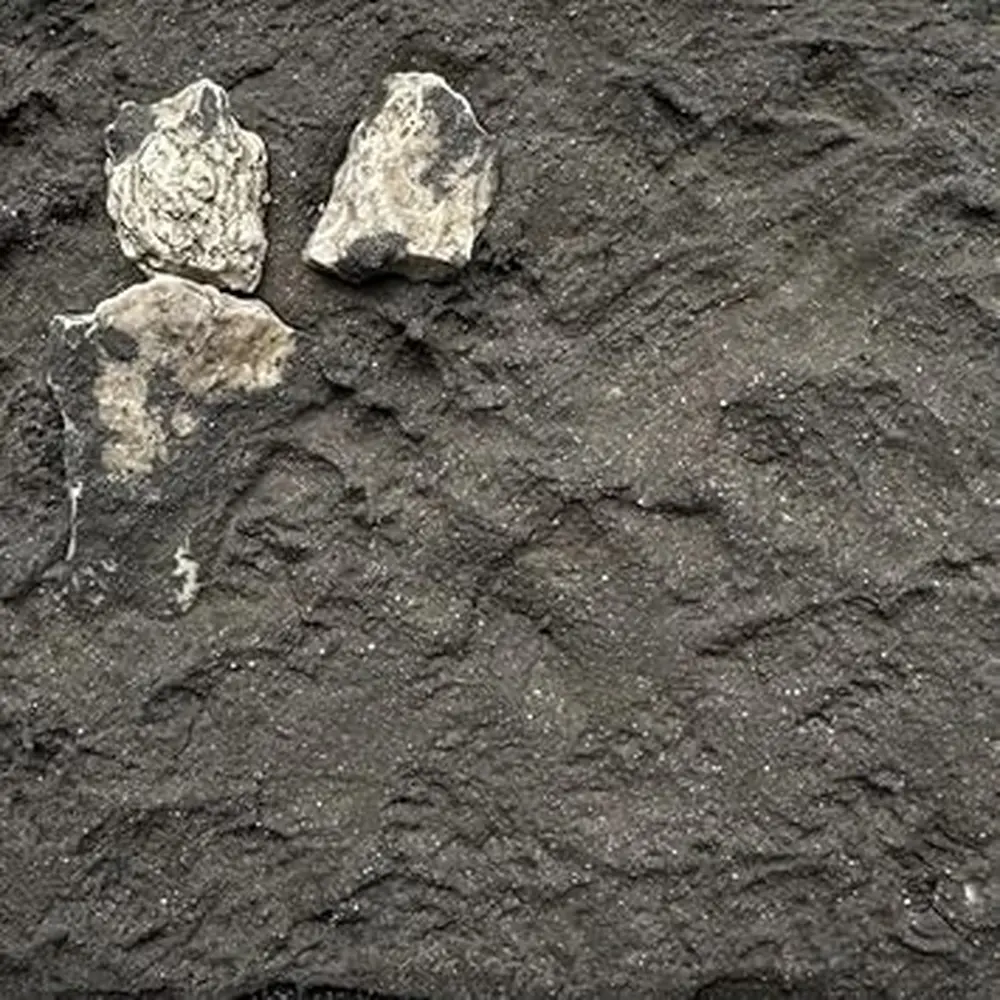 Terre à décor LINEA LEONARDO - Colle21 - "Vecchio Legno" - 3