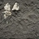 Terre à décor LINEA LEONARDO - Colle21 - "Vecchio Legno" - 3