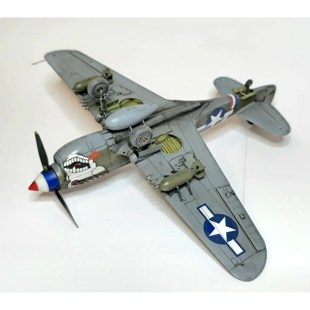 Avion P-40N Warhawk Royal Class Dual Combo - Eduard Plastic Kits 0025 - 1/48 - 16