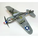 Avion P-40N Warhawk Royal Class Dual Combo - Eduard Plastic Kits 0025 - 1/48 - 16