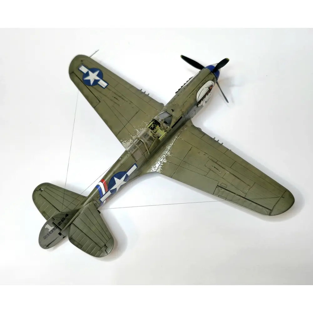 Avion P-40N Warhawk Royal Class Dual Combo - Eduard Plastic Kits 0025 - 1/48 - 8