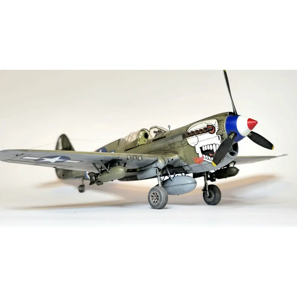 Avion P-40N Warhawk Royal Class Dual Combo - Eduard Plastic Kits 0025 - 1/48 - 12