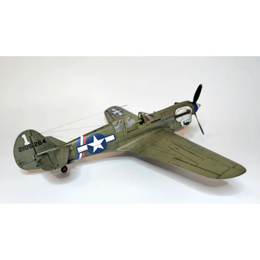 Avion P-40N Warhawk Royal Class Dual Combo - Eduard Plastic Kits 0025 - 1/48 - 9