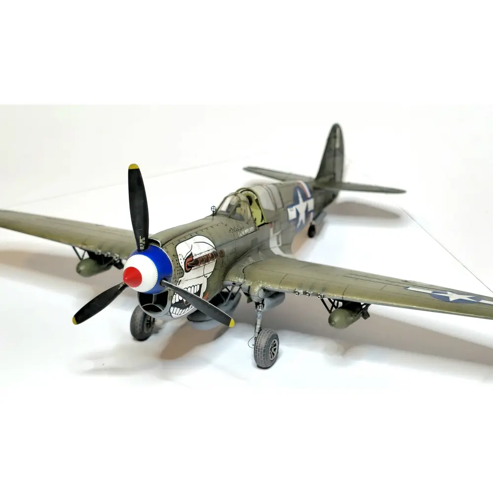 Avion P-40N Warhawk Royal Class Dual Combo - Eduard Plastic Kits 0025 - 1/48 - 14