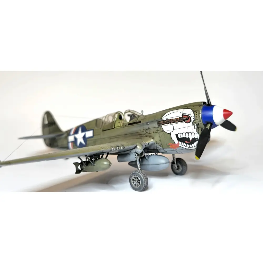 Avion P-40N Warhawk Royal Class Dual Combo - Eduard Plastic Kits 0025 - 1/48 - 10