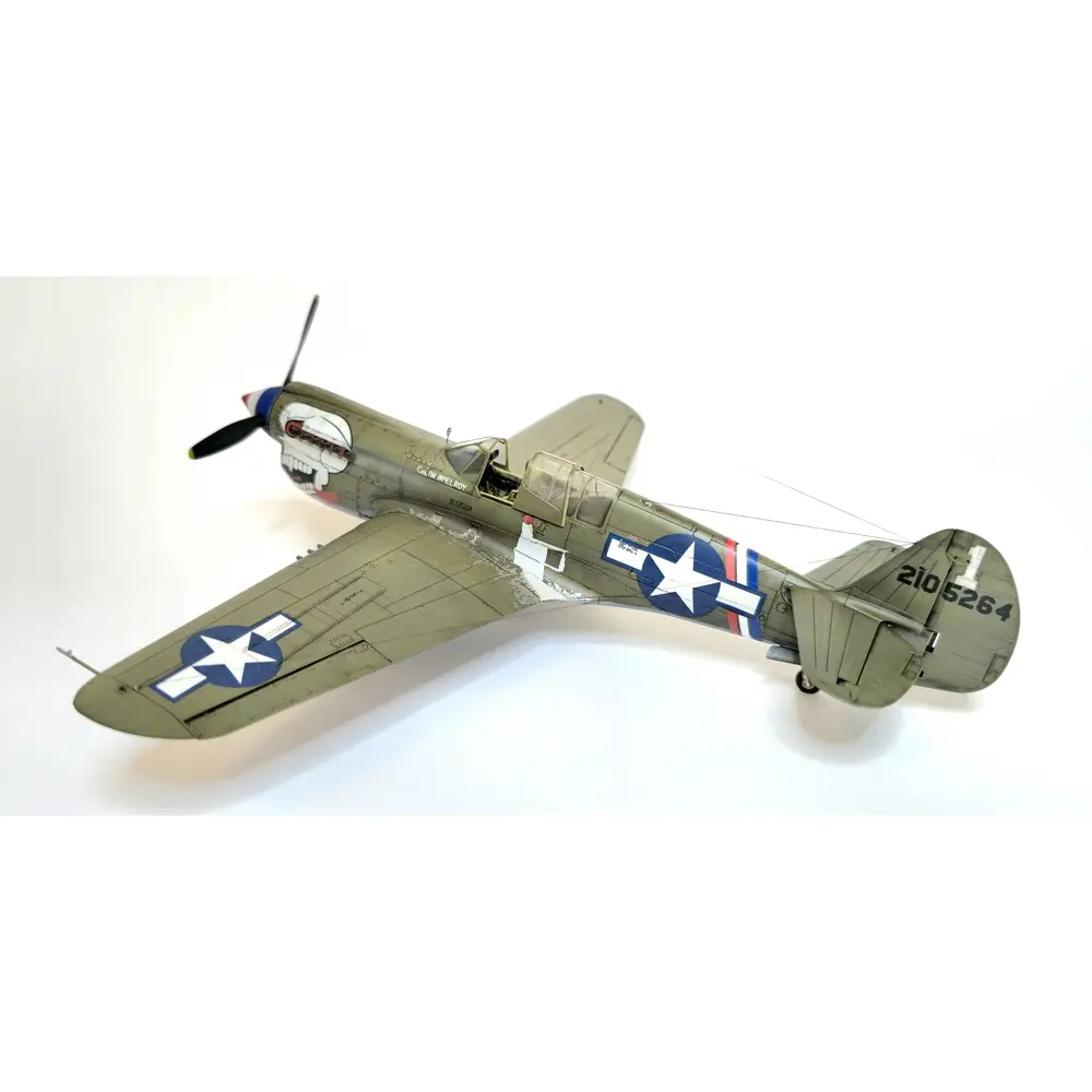 Avion P-40N Warhawk Royal Class Dual Combo - Eduard Plastic Kits 0025 - 1/48 - 4