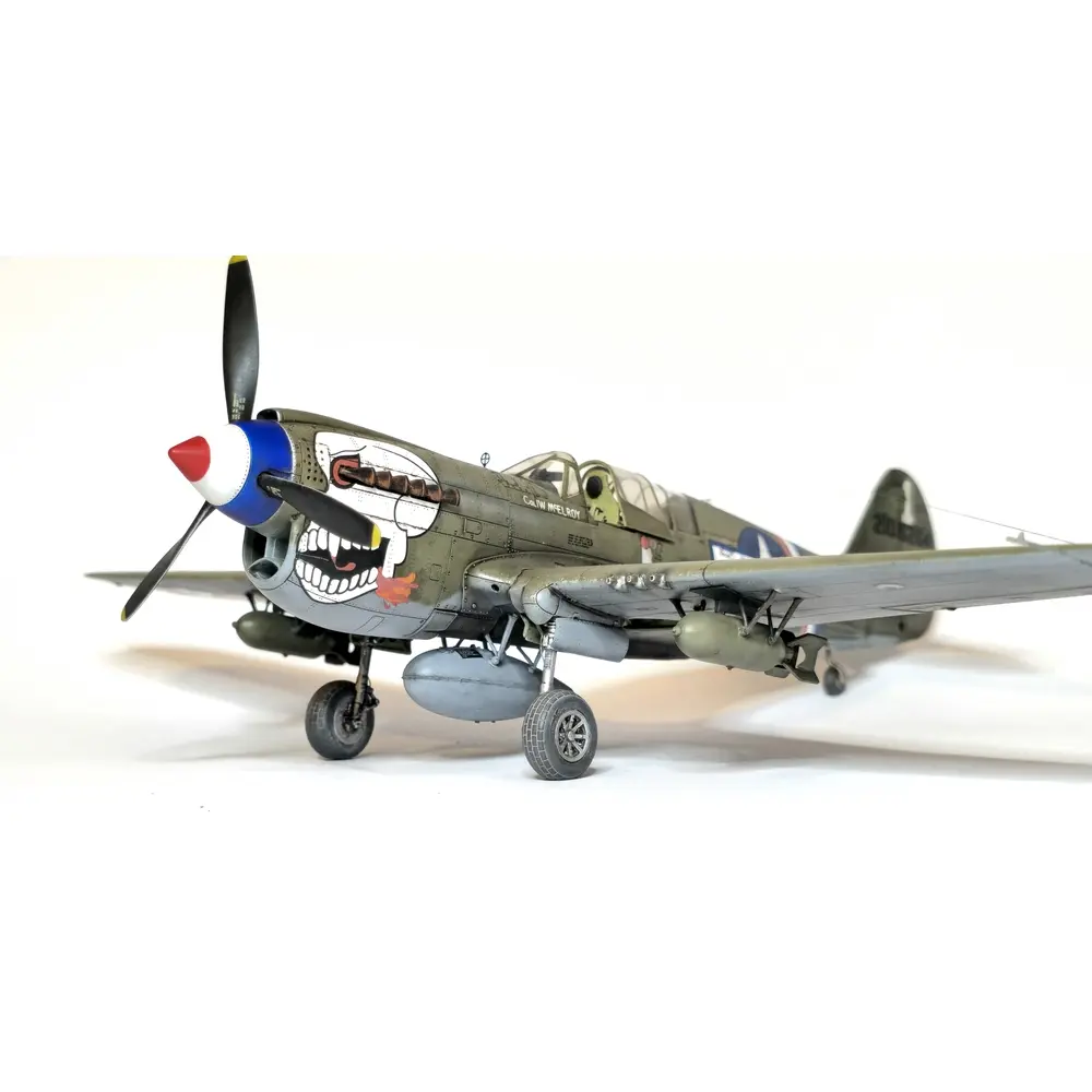 Avion P-40N Warhawk Royal Class Dual Combo - Eduard Plastic Kits 0025 - 1/48 - 11