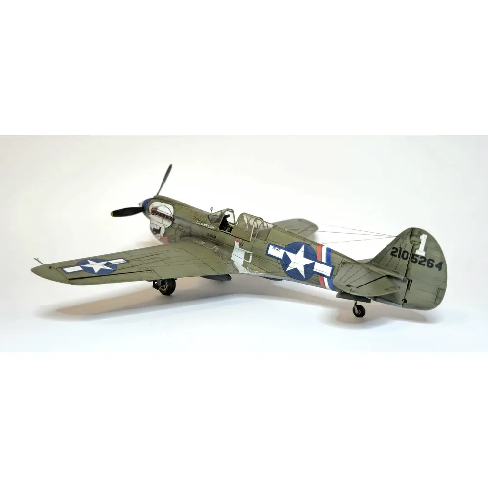 Avion P-40N Warhawk Royal Class Dual Combo - Eduard Plastic Kits 0025 - 1/48 - 6