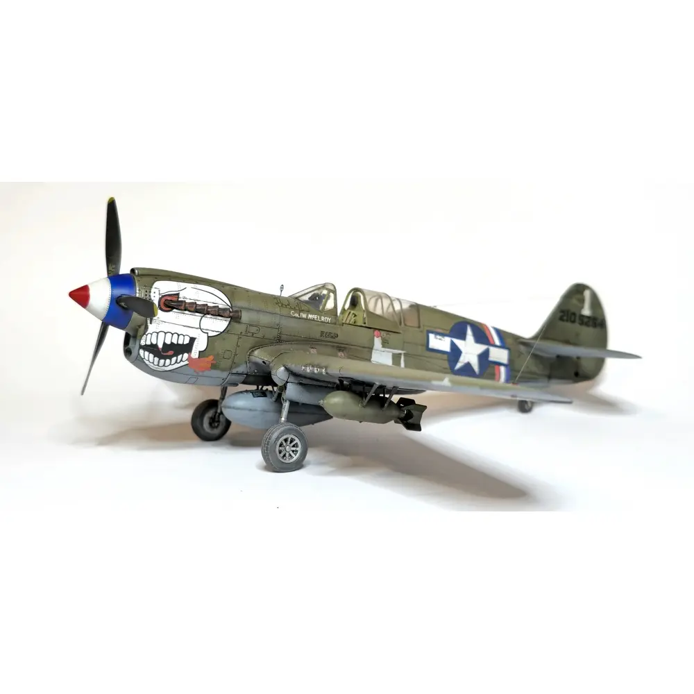 Avion P-40N Warhawk Royal Class Dual Combo - Eduard Plastic Kits 0025 - 1/48 - 5