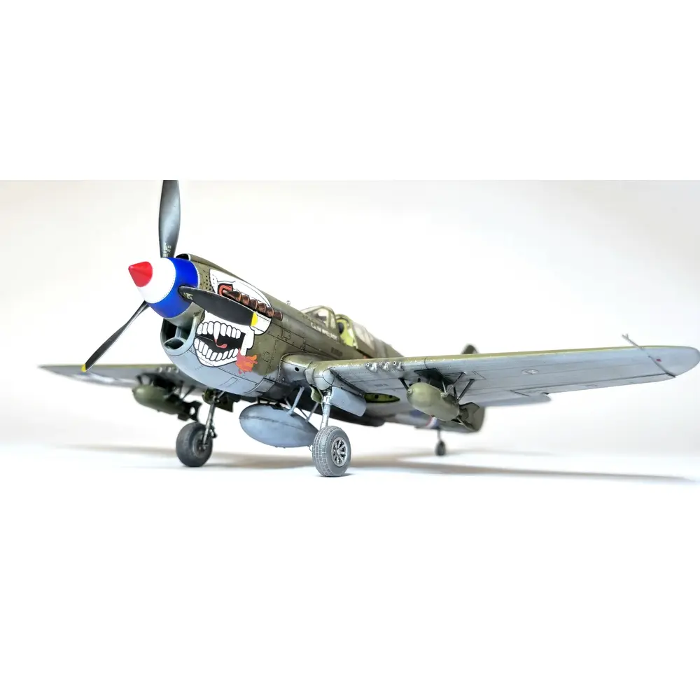 Avion P-40N Warhawk Royal Class Dual Combo - Eduard Plastic Kits 0025 - 1/48 - 13
