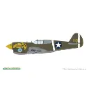 Avion P-40E Warhawk ProfiPack Edition - Eduard Plastic Kits 82241 - 1/48 - 5