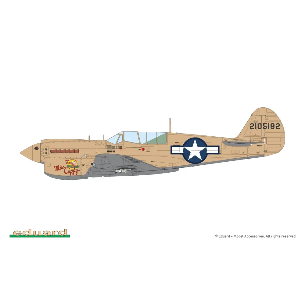 Avion P-40N Warhawk Royal Class Dual Combo - Eduard Plastic Kits 0025 - 1/48 - 20