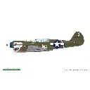 Avion P-40N Warhawk Royal Class Dual Combo - Eduard Plastic Kits 0025 - 1/48 - 23