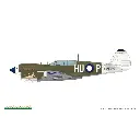 Avion P-40N Warhawk Royal Class Dual Combo - Eduard Plastic Kits 0025 - 1/48 - 27