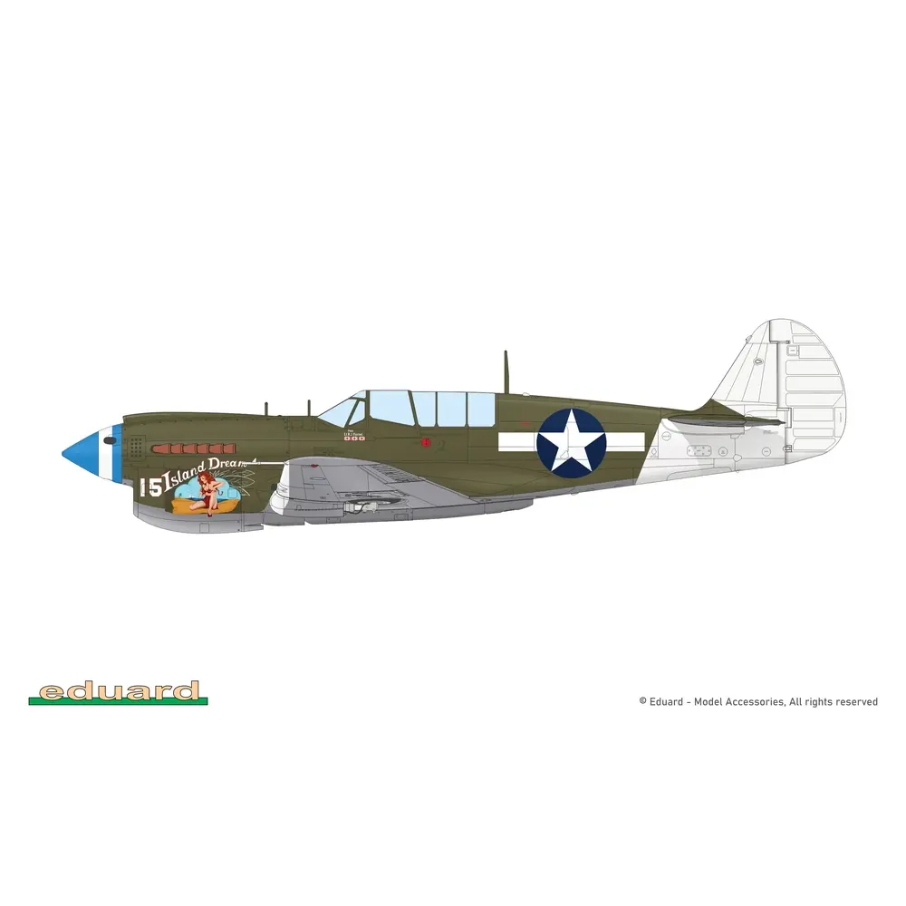 Avion P-40N Warhawk Royal Class Dual Combo - Eduard Plastic Kits 0025 - 1/48 - 25