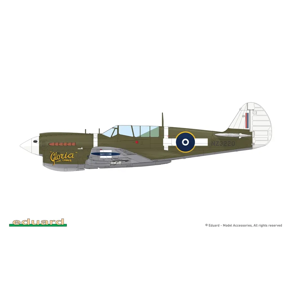 Avion P-40N Warhawk Royal Class Dual Combo - Eduard Plastic Kits 0025 - 1/48 - 29