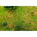 Lot de 6 Chasseurs et Cerfs - Faller 151702 - HO 1/87 - 2