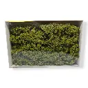 15 Arbres et buissons - Vert clair - HEKI 1631 - Échelle HO / TT / N / Z - 2