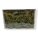 15 Arbres et buissons - Vert clair - HEKI 1670 - Échelle HO / TT / N / Z - 2