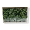 6 Hêtres - Vert - HEKI 1761 - Échelle HO / TT - 180 mm - 2