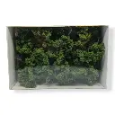 12 Arbres à feuilles - Vert - HEKI 1415 - Échelle HO / TT / N - 60-130 mm - 3