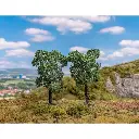 2 arbres fruitiers Faller 181802 - HO 1/87 - N 1/160 - TT 1/120 - 100 & 110 mm - 4