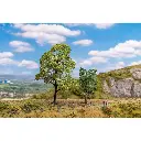 2 arbres - Charme et Érable Faller 181800 - HO - N - TT - 75 & 145 mm - 4