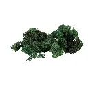 Mousse d’Islande, verte, 50 g - FALLER 170431 - 2