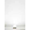 Culot d’éclairage à LED, blanc froid - FALLER 180668 - 2