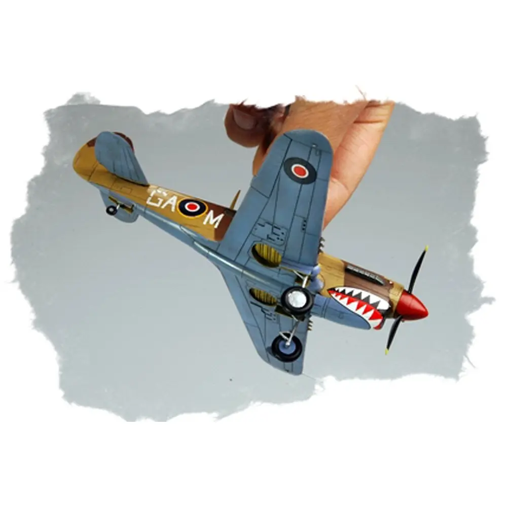Avion de Guerre - P-40M Warhawk - Hobby Boss 80251 - 1/72 - 7