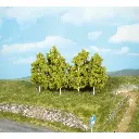 6 bouleaux 8 cm - Heki 1998 - HO 1/87 / N 1/160 / TT 1/120 - 2