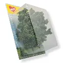 2 Hêtres - Vert foncé - HEKI 1912 - Échelle HO / TT - 180 mm - 2