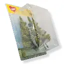 3 Mélèzes - Vert - HEKI 2136 - Échelle HO / TT - 170 mm - 2