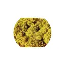 Sachet de Mousse - Jaune - 30 Grammes - HEKI 3215 - Toutes Echelles  - 2