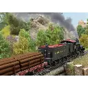 Locomotive à vapeur type Shay, N°5, Western Maryland, USA - Märklin 38700 - HO 1/87 - Ep II - Digital sound fumigène - 3R - 15