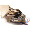 Un Yacht classique Boeier - Artitec 50.142 - HO : 1/87   - 2