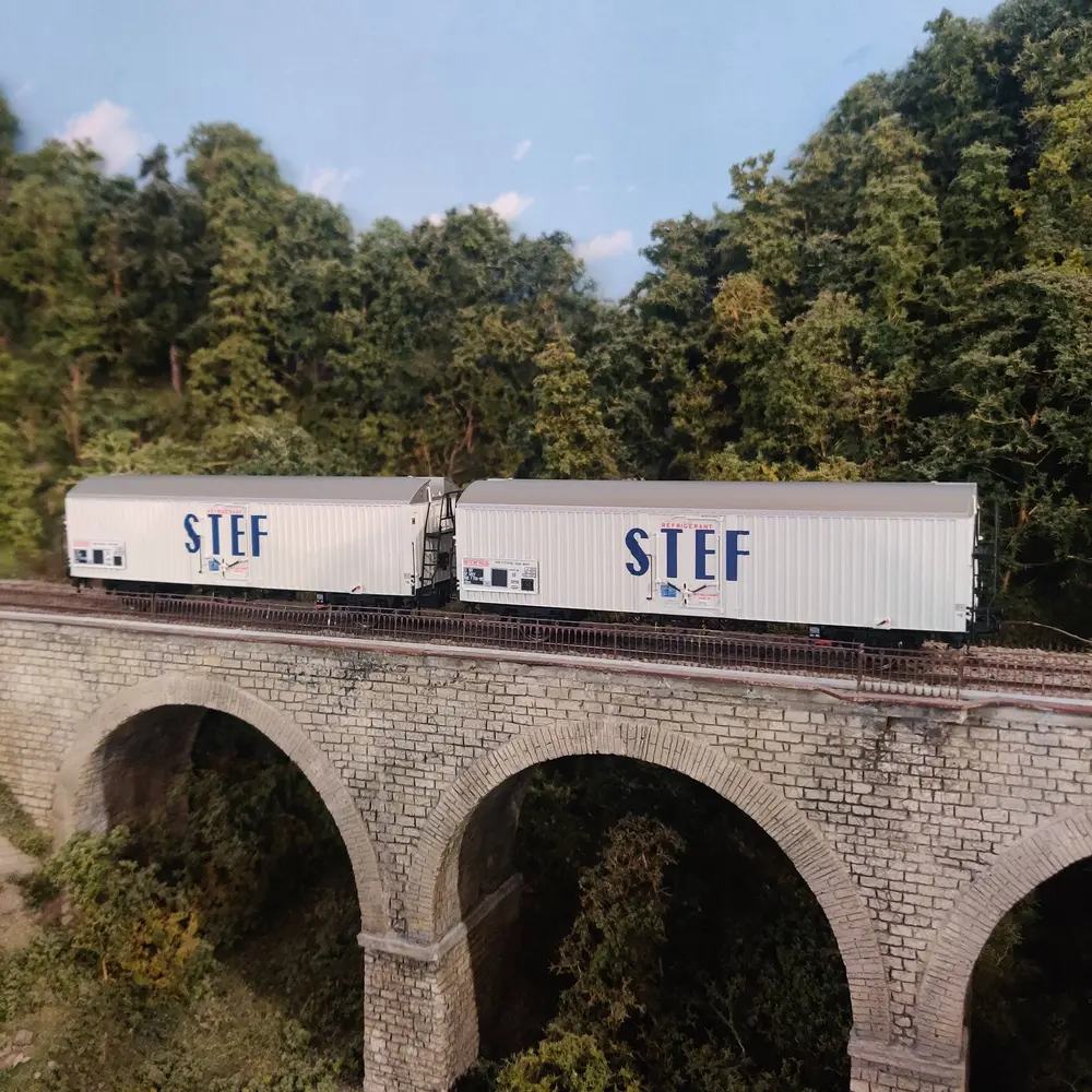 Set 2 wagons réfrigérants STEF - Ls Models 30236 - HO 1/87 - SNCF - EP III - 5