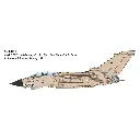 Avion de chasse TORNADO GR.1 «Desert Storm» - Italeri 2521 - 1/32  - 6