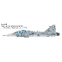 Saab JAS 39 Gripen biplace - Italeri I2664 - 1/48 - 2