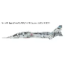 Avion Jaguar T.2 Raf - ITALERI I1470 - 1/72 - 6