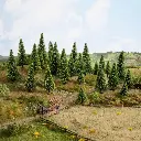 Pack de 25 sapins Noch 32825 - N 1/160 - Z 1/220 - Hauteur 35 à 90 mm - 4