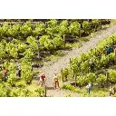 24 pieds de vigne - NOCH 21540 - HO 1/87e - 4